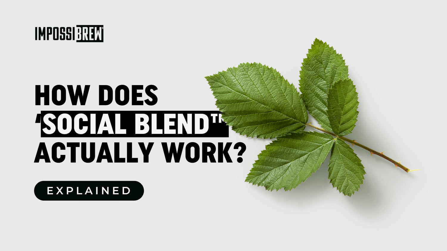 How Does Social Blend™ Actually Work?