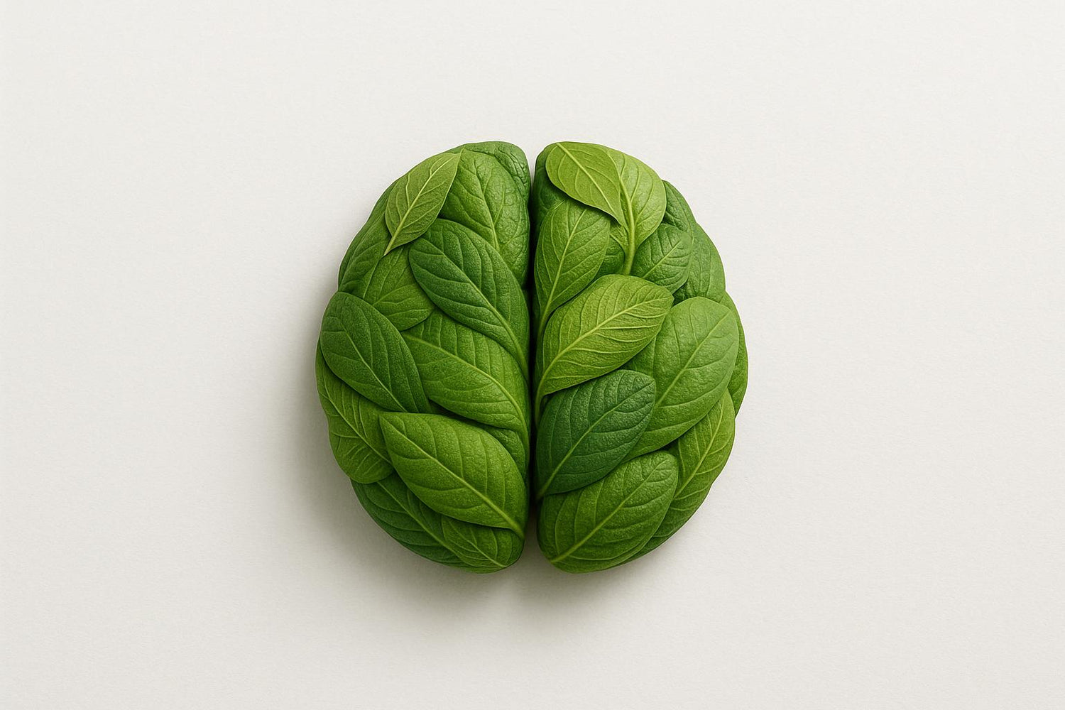 Nootropics and Ageing: What Science Says About Long-Term Use